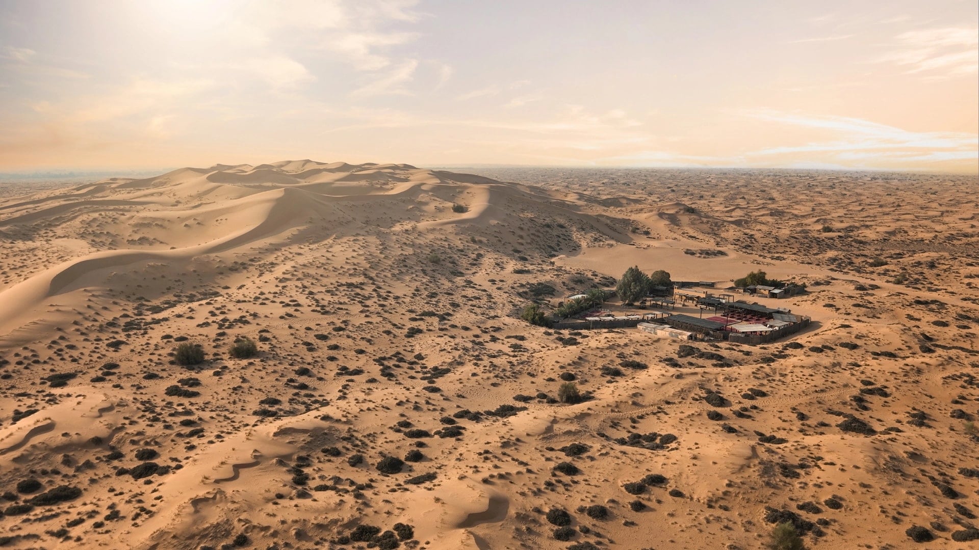 Evening Desert Safari in Dubai, , large