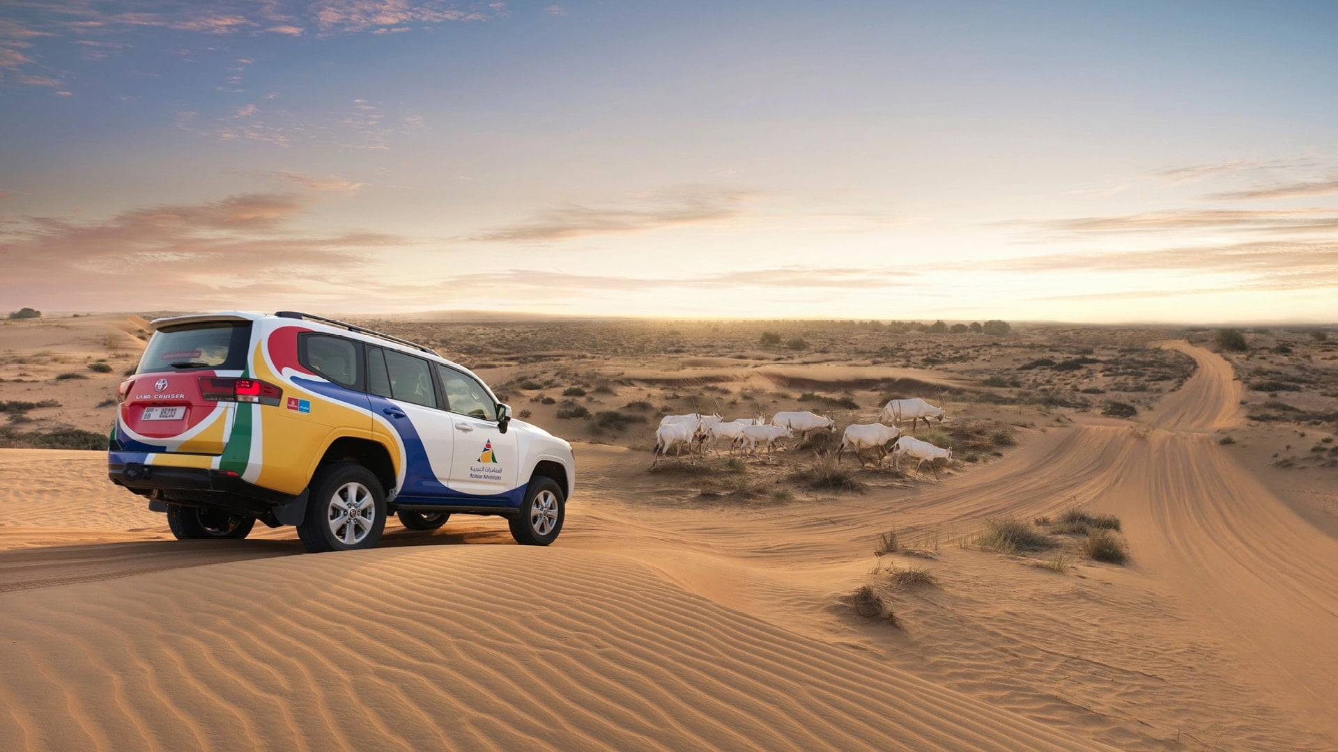 Exclusive Desert Experience, , large