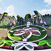 Miracle Garden, , small
