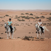 Horseback Ride - Private Vehicle, , small
