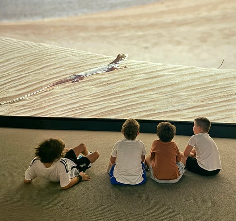 Three-Day Camping Adventure, , medium