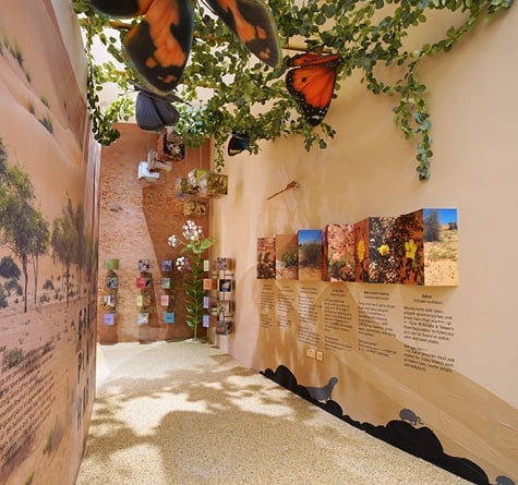 A hallway at the Dubai Desert Conservation Reserve with information about the plants in the Dubai desert ecosystem