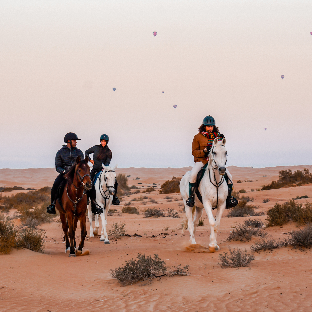 Horseback Ride - Shared Vehicle - Morning Run - With Breakfast, , large