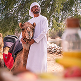 Camel Ride in Dubai - Shared Vehicle, , small