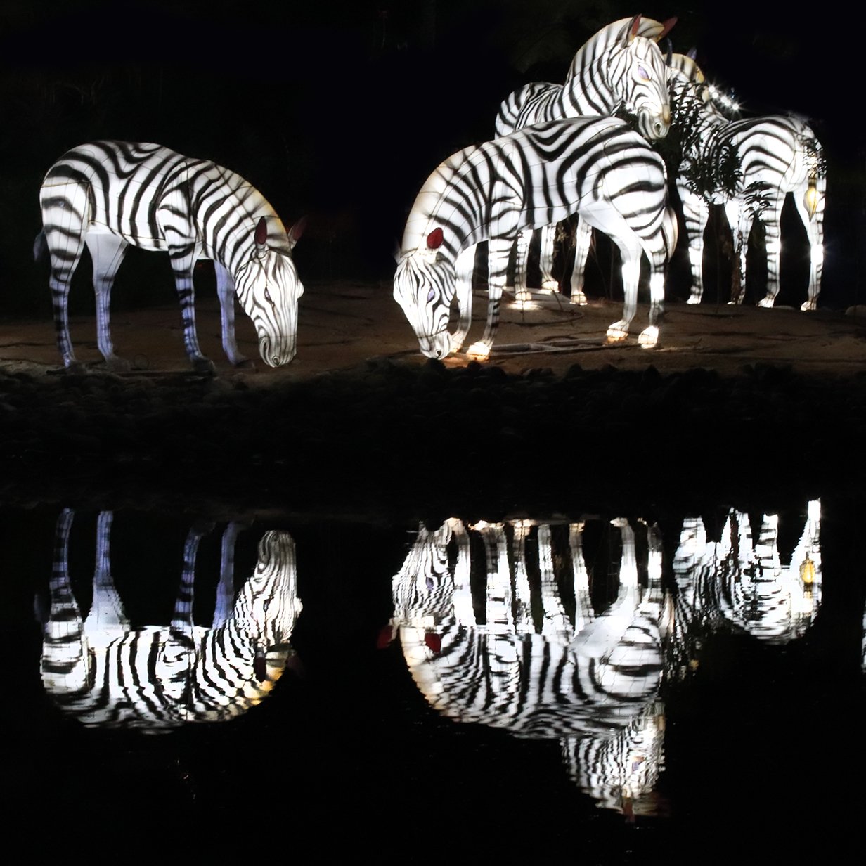 Dubai Garden Glow, , large