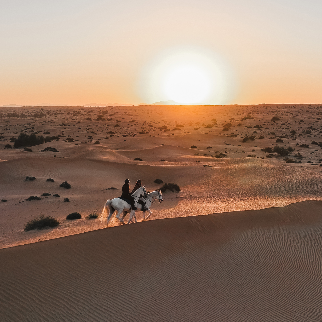 Horseback Ride - Shared Vehicle - Morning Run - With Breakfast, , large