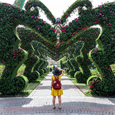 Miracle Garden, , small
