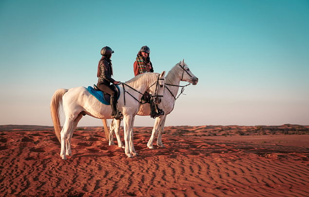 Horseback Ride - Shared Vehicle