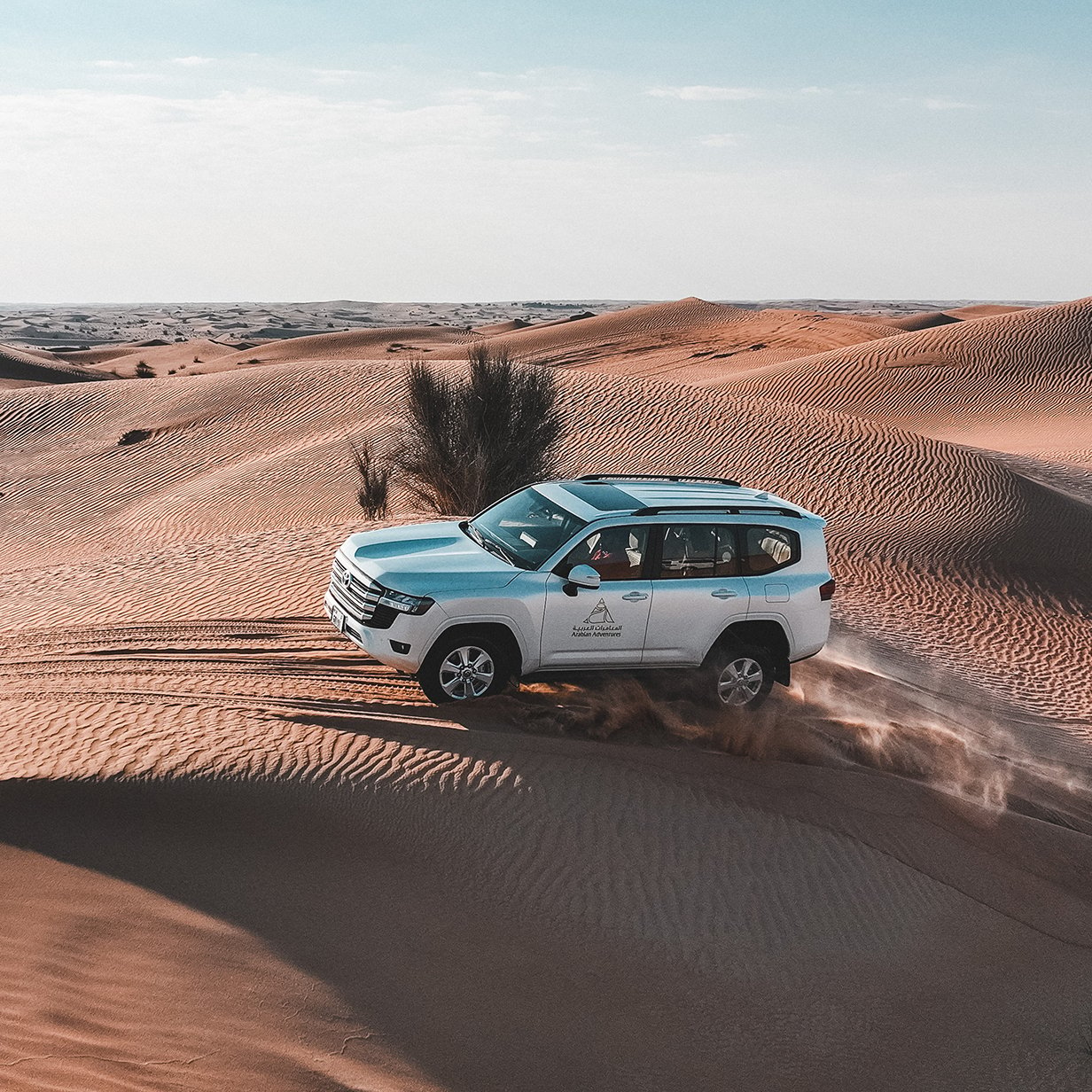 Morning Desert Adventure in Dubai - Shared Vehicle, , large