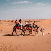 Camel Ride in Dubai - Private Vehicle, , small