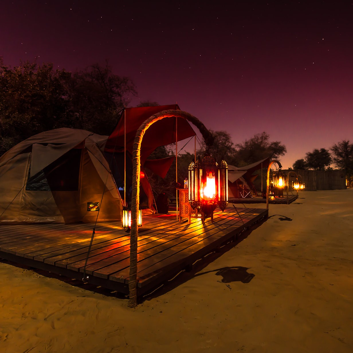 dubai safari park at night