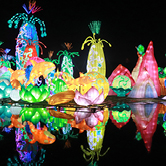 Dubai Garden Glow, , small