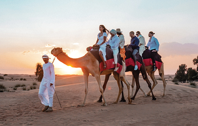 VIP Desert Safari in Dubai, , medium