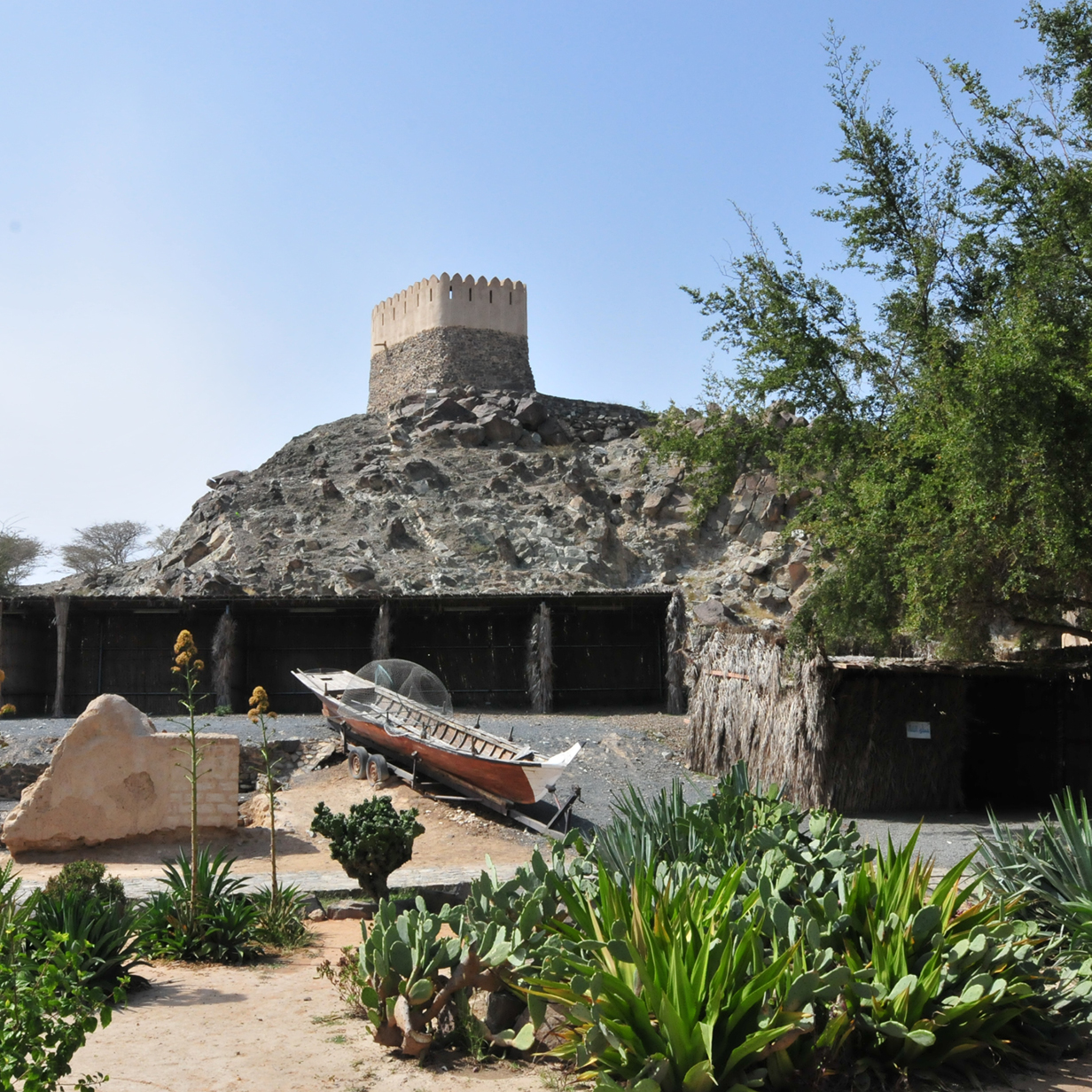 East Coast Tour in Fujairah