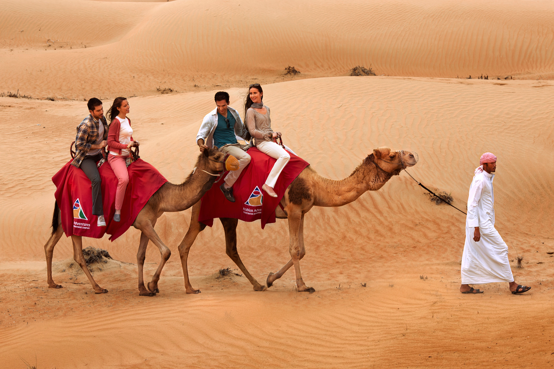 arabian tours desert safari reviews