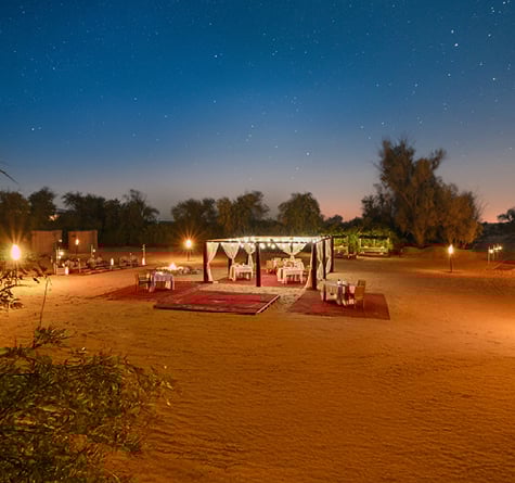 VIP Desert Safari in Dubai, , medium