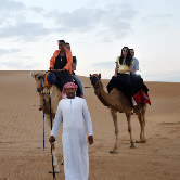 VIP Desert Safari in Dubai - Private Vehicle, , small
