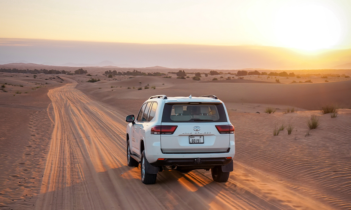 Dubai Desert Conservation Reserve Wildlife Tour, , large