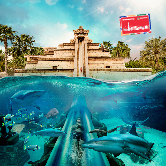 The Adventure Pass, , small