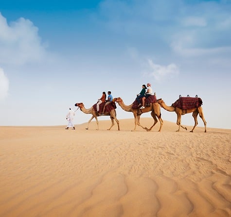 A family on a camel ride in the desert lead by a guide