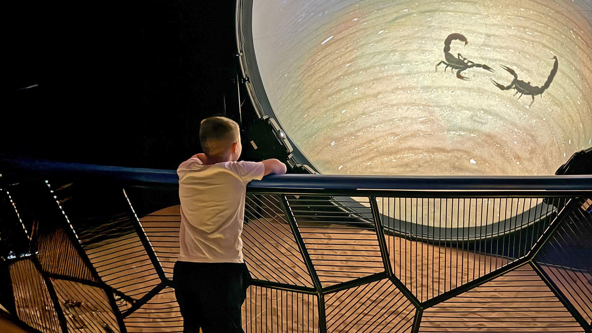 Three-Day Camping Adventure, , large