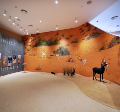 An image of the Fun Facts section at Dubai Desert Conservation Centre