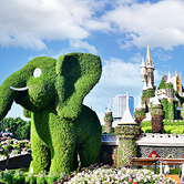 Miracle Garden, , small