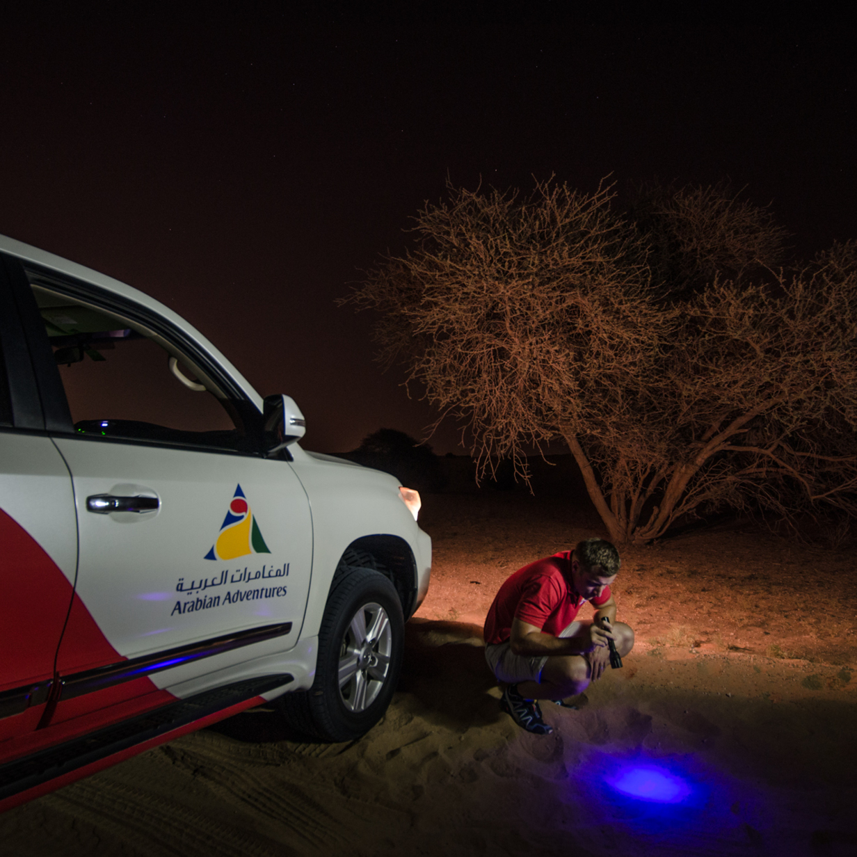 Night Desert Safari's Night Life Exploring in Dubai