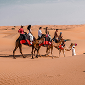 Morning Desert Adventure in Dubai - Shared Vehicle, , small