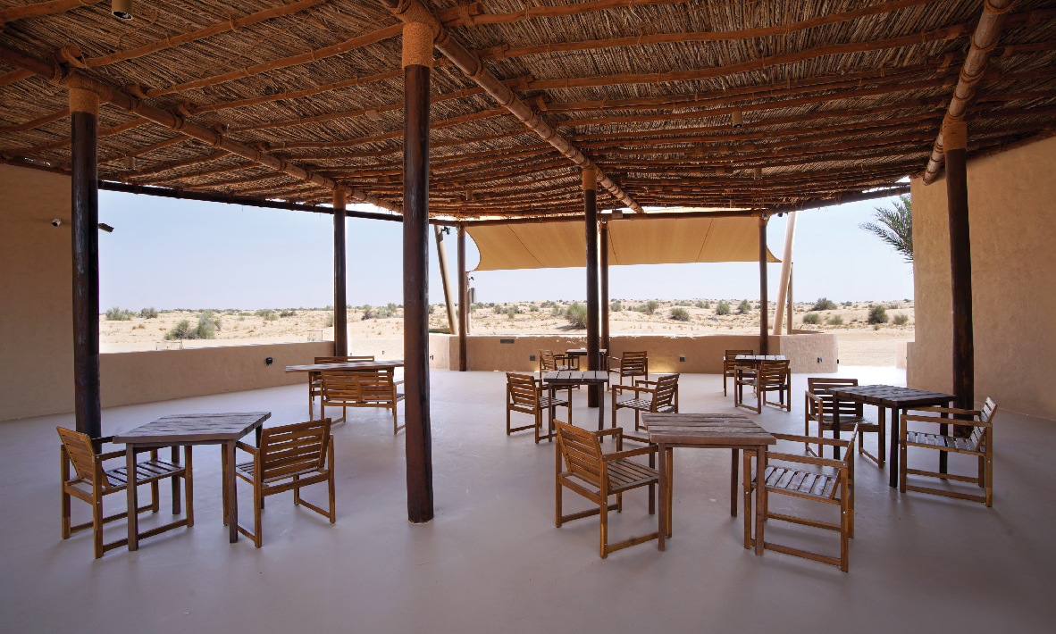Dubai Desert Conservation Reserve Wildlife Tour, , large