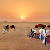 VIP Desert Safari in Dubai - Shared Vehicle, , small