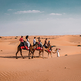 Morning Desert Adventure in Dubai - Private Vehicle, , small