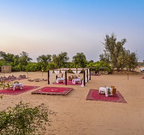 VIP Desert Safari in Dubai, , medium