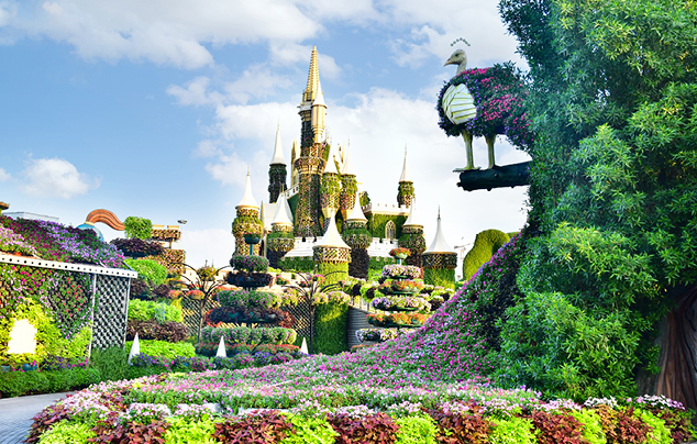 Miracle Garden