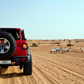 VIP Desert Safari in Dubai - Shared Vehicle, , small
