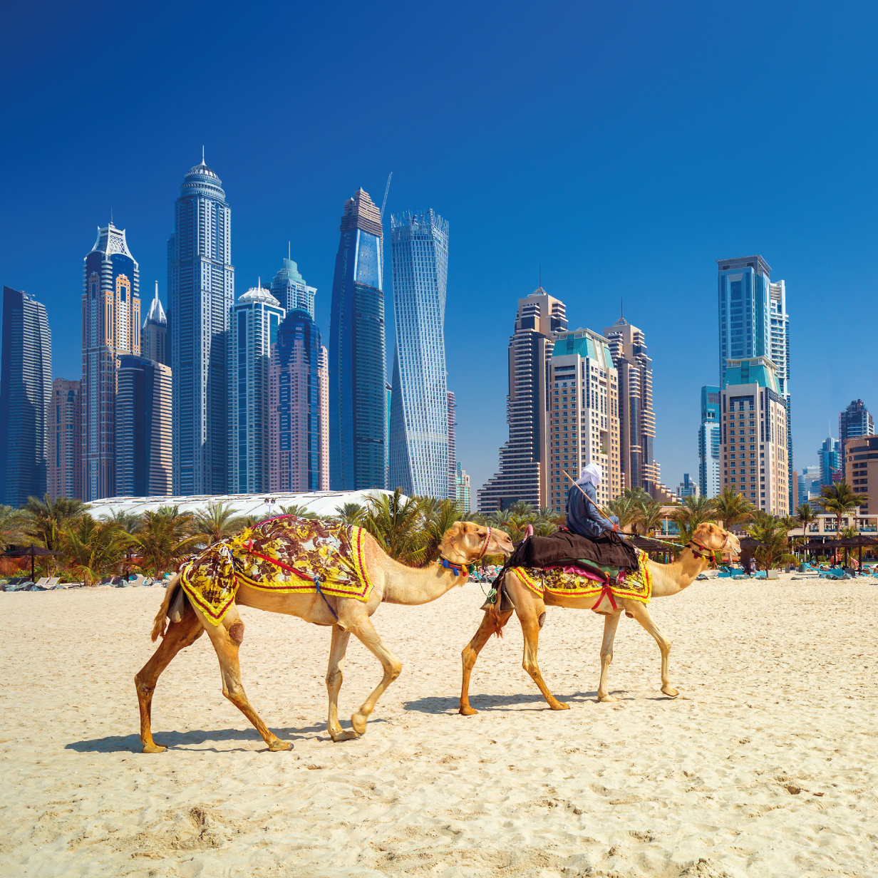 City Sightseeing Hop-on Hop-off Dubai City Tour, , large