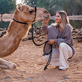 Morning Desert Adventure in Dubai - Shared Vehicle, , small