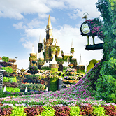 Miracle Garden, , small