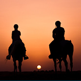 Horseback Ride - Private Vehicle, , small