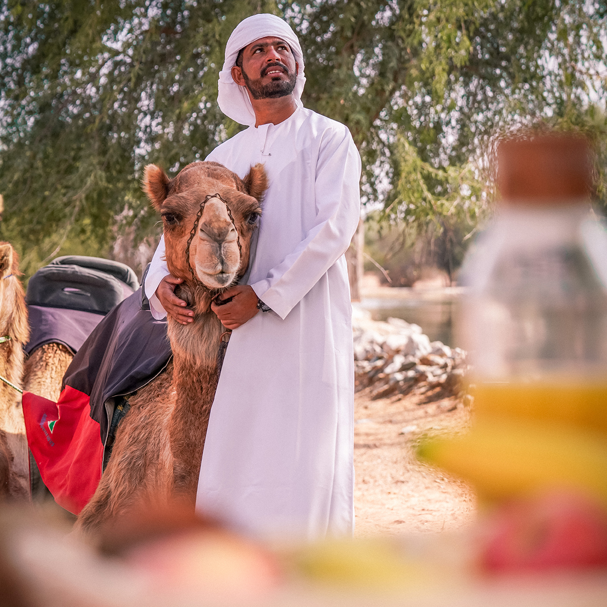 Camel Ride in Dubai - Private Vehicle, , large