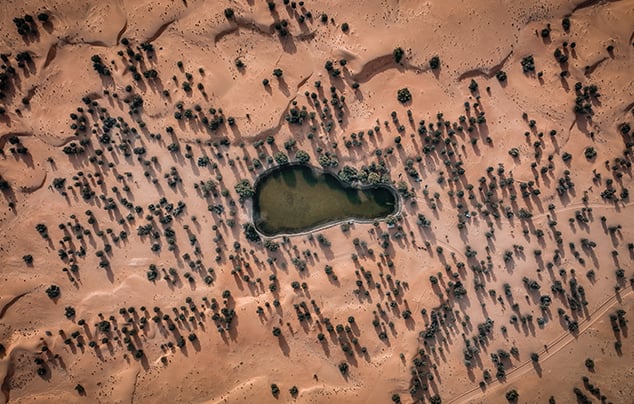 Camel Ride in Dubai, , medium