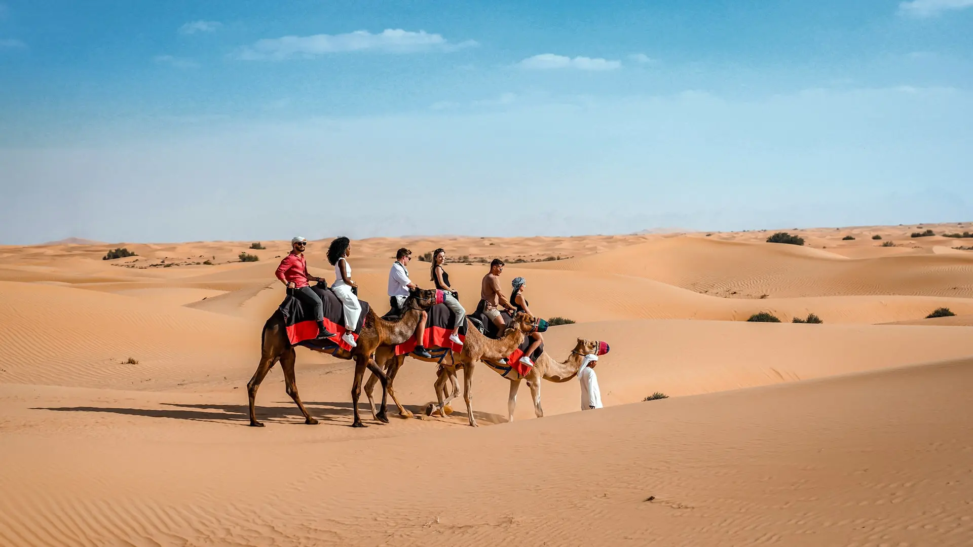 Morning Desert Adventure, , large