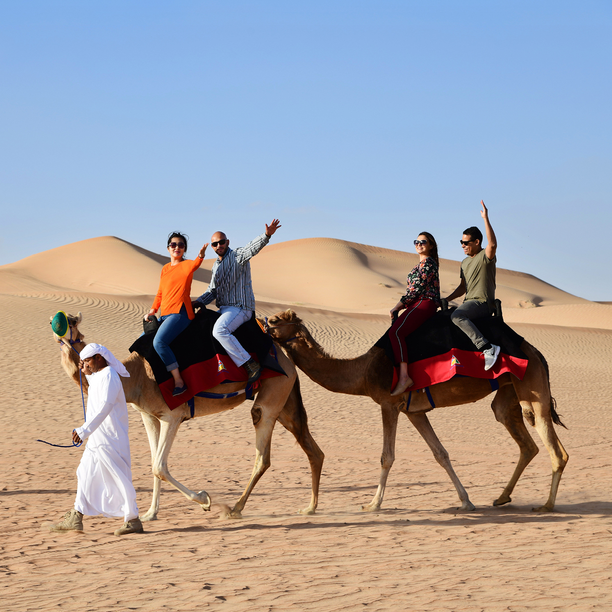 camel safari dubai