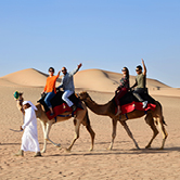 Morning Desert Adventure in Dubai - Private Vehicle, , small