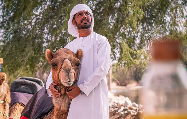 Camel Ride in Dubai, , medium