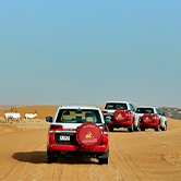 Evening Desert Safari in Dubai Exclusive Vehicle, , small