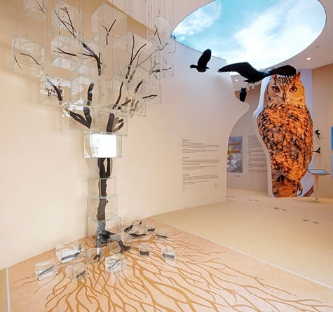 Interior view of the birds information section at Dubai Desert Conservation Reserve