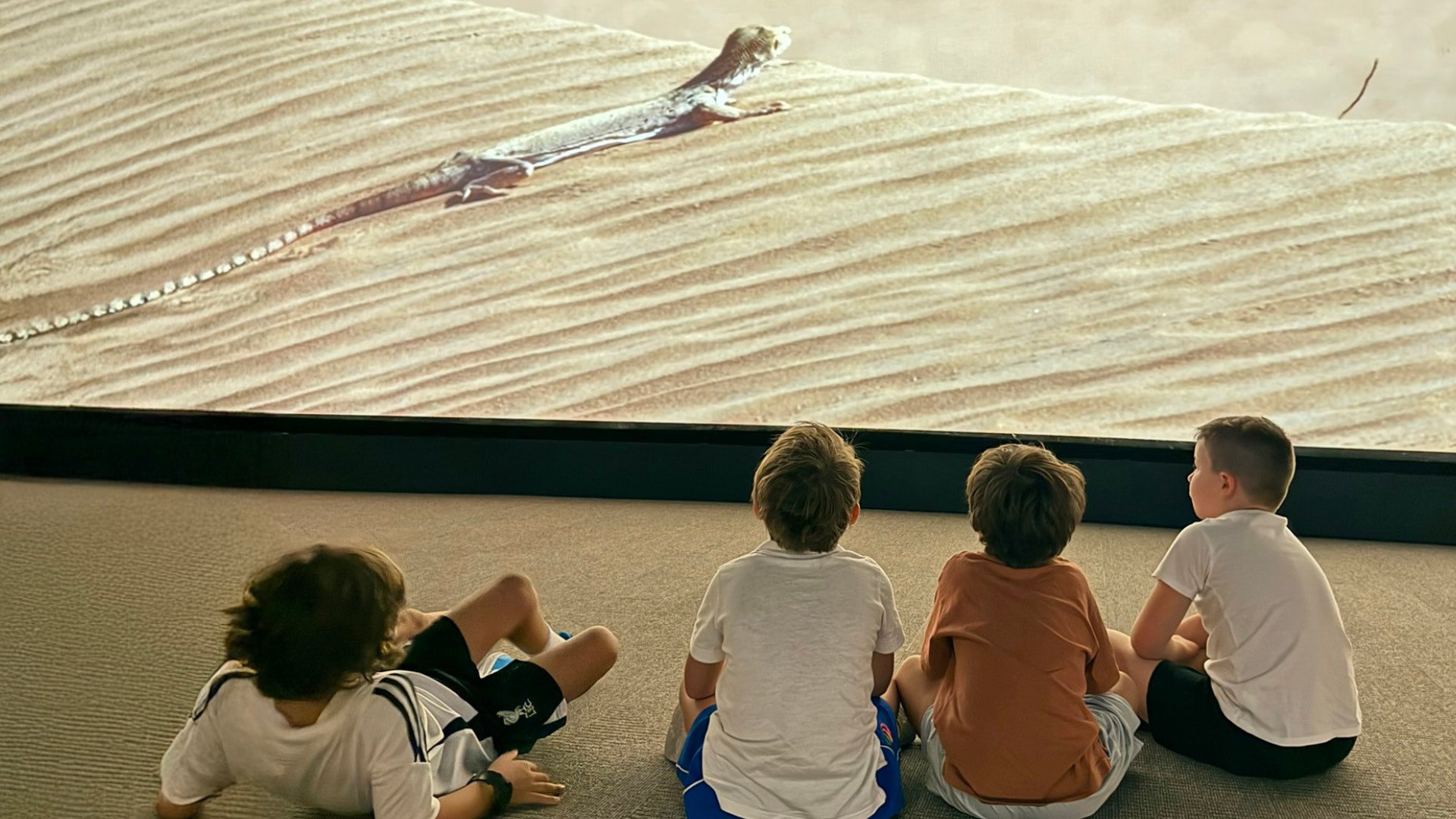 Three-Day Camping Adventure, , large