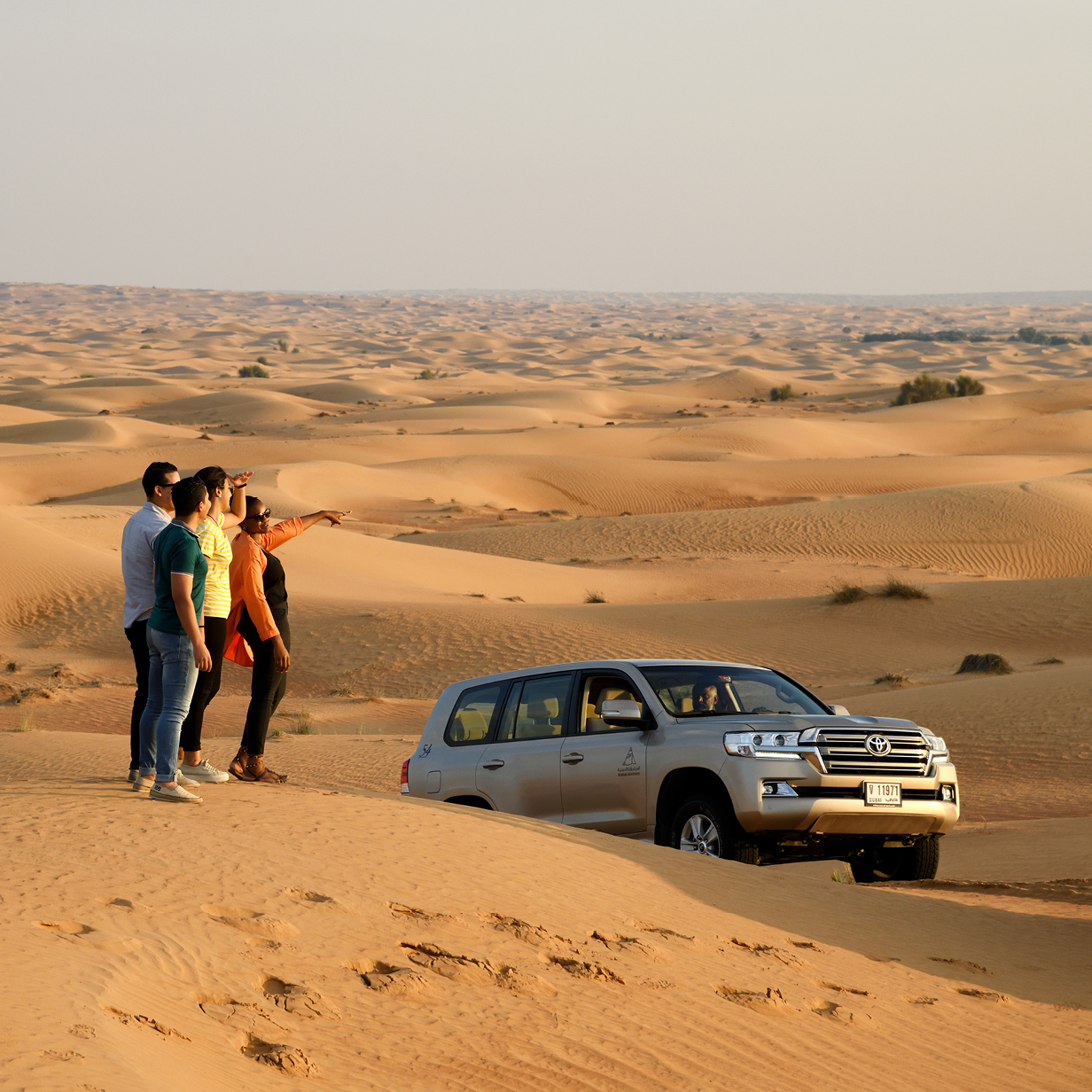 dubai safari vip