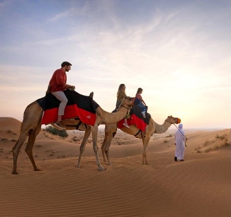 Evening Desert Safari in Dubai, , medium